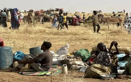 تحذير دولى من تكرار جرائم الفاشر في كردفان