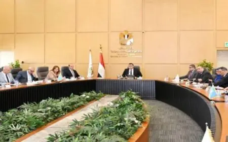 انضمام 3 مدن مصرية جديدة إلى شبكة اليونسكو لمدن التعلم لعام 2025 وفقًا للجنة الوطنية المصرية لليونسكو