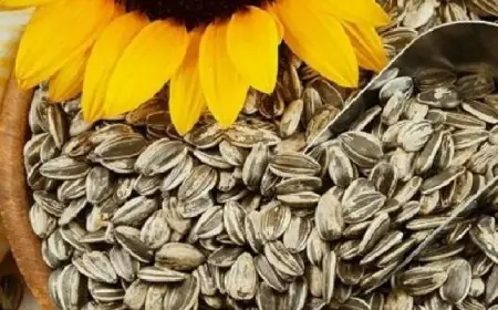 وزير الخارجية ينطلق إلى قطر للمشاركة في منتدى الدوحة الدولي