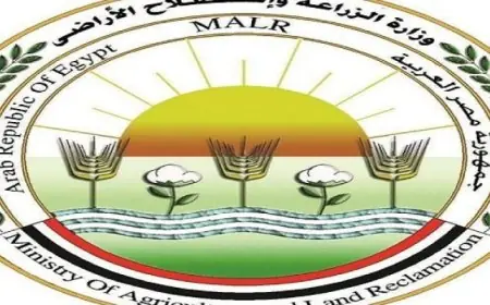 غارات جوية إسرائيلية تستهدف قرى وبلدات جنوب لبنان