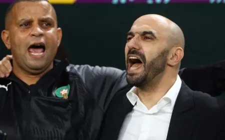 الركراكي يحذر الجميع من قوة المغرب قبل مواجهة البرازيل