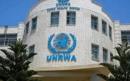 مصر تدعم تجديد ولاية أونروا من قبل الأمم المتحدة لثلاث سنوات قادمة