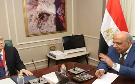 وزير الكهرباء يتناول مع مجموعة صينية فرص تعزيز التعاون في قطاع الكهرباء