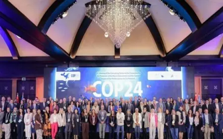 مصر تفوز برئاسة المكتب التنفيذي لإتفاقية برشلونة لمدة عامين تحت قيادة وزيرة البيئة