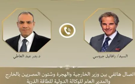 وزير الخارجية يناقش التعاون النووي وتطورات ملف إيران مع مدير وكالة الطاقة الذرية