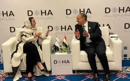 وزير الخارجية المصري يؤكد أهمية تعزيز التحول الرقمي المسئول وتطوير سياسات الذكاء الاصطناعي