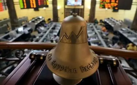 وزير المالية يؤكد أن مصر ترحب بجميع المستثمرين العالميين مع فرص اقتصادية متنوعة وتنافسية