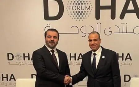 وزير الخارجية المصري يبرز أهمية دعم وحدة سوريا وسلامة أراضيها