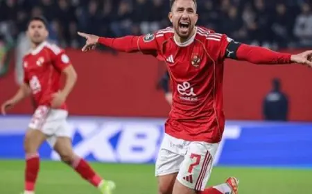 البنك المركزي يكشف عن ارتفاع الاحتياطي الأجنبي ليصل إلى 50.216 مليار دولار