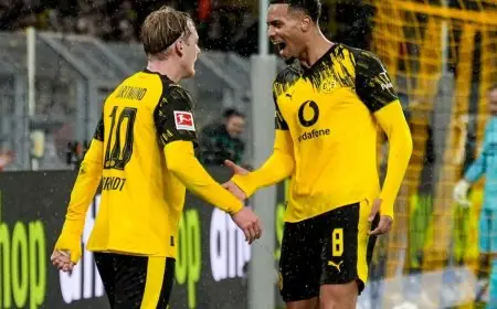 دورتموند يتجاوز هوفنهايم ويعزز ترتيبه في المركز الثالث بالدوري الألماني