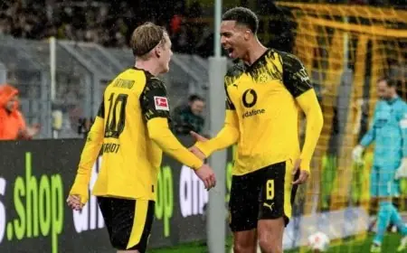 بوروسيا دورتموند يحقق انتصارا هاما على هوفنهايم في سباق وصافة الدوري الألماني