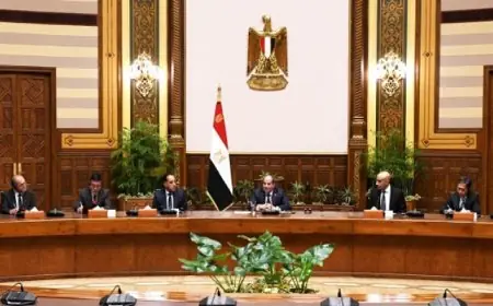 الرئيس السيسى يشدد على أهمية التعاون مع اليابان لتعزيز التعليم فى مصر