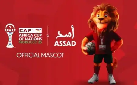 الكاف يعلن عن تميمة كأس أمم إفريقيا 2025 الأسد المميز