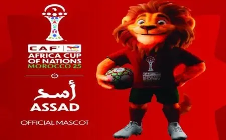 كاف يعلن عن تميمة كأس الأمم الأفريقية 2025 أسد قوي يمثل البطولة