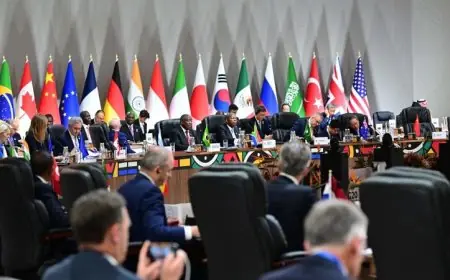 رئيس مجلس الدولة الصيني يشدد على أهمية المسؤوليات المشتركة خلال قمة مجموعة الـ20