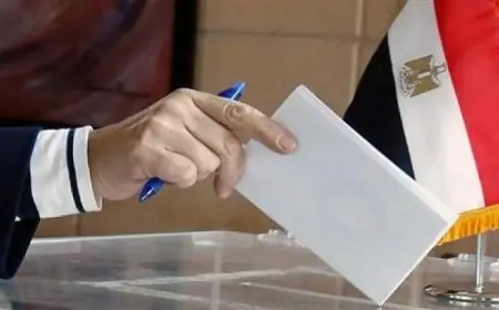 المنظمة المصرية الألمانية تكشف عن توافد كبير على المرحلة الثانية من انتخابات النواب