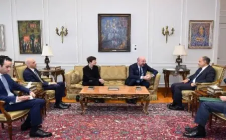 وزير الخارجية يؤكد أهمية جذب الاستثمارات الأوروبية لتعزيز الاقتصاد الوطني