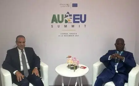 عبد العاطي يناقش مع وزير خارجية كوت ديفوار تعزيز العلاقات الثنائية ومواجهة القضايا المشتركة