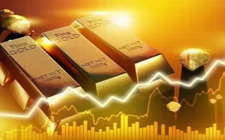 شعبة الذهب تسجل ارتفاعاً مذهلاً في صادرات القطاع بنسبة 157% تصل إلى 6.7 مليار دولار لأول مرة