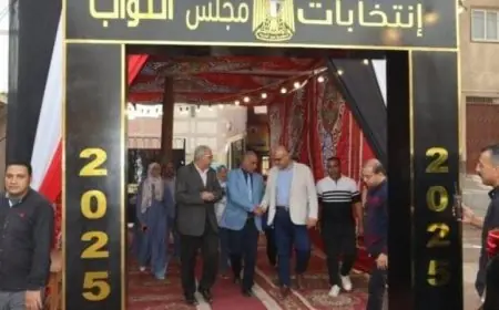 أجواء انتخابية حماسية في لجان التجمع الخامس تثير حماس الناخبين لانتخابات مجلس النواب 2025