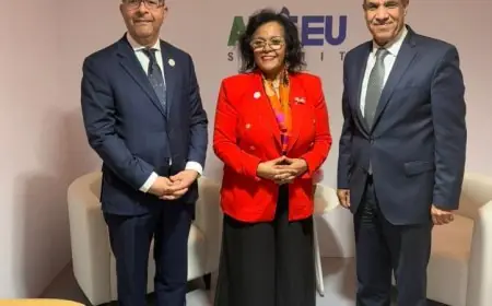 وزير الخارجية المصري يعلن عن رغبة مصر في تعزيز الشراكة مع وكالة النيباد