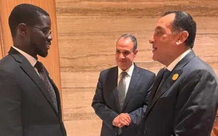 رئيس السنغال يؤكد أهمية العلاقة مع مصر كنموذج للتعاون المثمر بين الدول الإفريقية