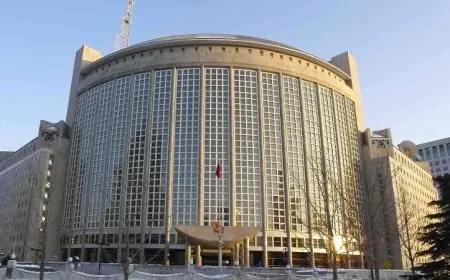 الصين تشدد على أهمية التعددية الحقيقية في جهود حظر الأسلحة الكيميائية