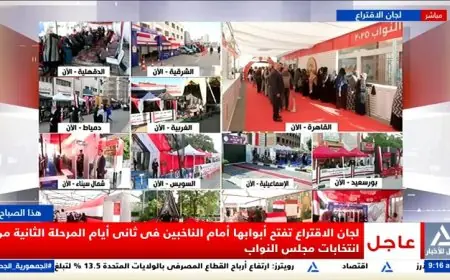 انطلاق التصويت في اليوم الثاني والأخير من المرحلة الثانية لانتخابات مجلس النواب