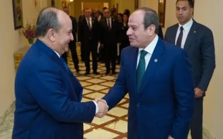 الرئيس السيسي يعزز أهمية العلاقات الاستراتيجية بين مصر والجزائر