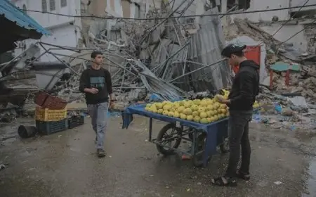 الأونكتاد تكشف عن انهيار اقتصادي غير مسبوق في فلسطين نتيجة حرب غزة والقيود المفروضة