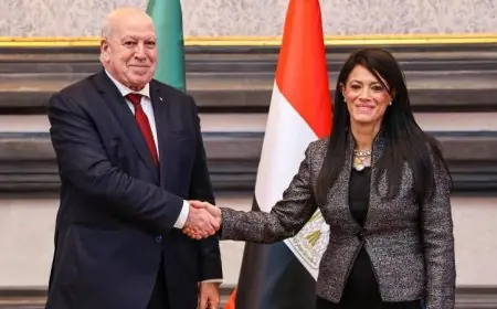 المشاط وبشير يقودان الاجتماعات الوزارية للجنة العليا المصرية الجزائرية لتعزيز التعاون الثنائي