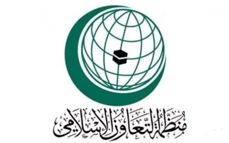 التعاون الإسلامي: 1633 انتهاك إسرائيلي في مختلف المناطق الفلسطينية خلال أسبوع واحد