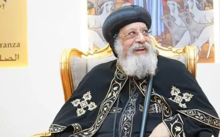 البابا تواضروس في النمسا لإجراء الفحوصات الصحية الدورية