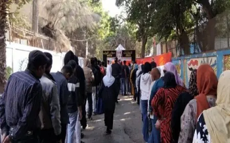 تزايد حضور الناخبين في لجان المعادي ودار السلام والبساتين خلال انتخابات مجلس النواب