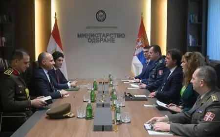 وزير الدفاع الصربي يثني على العلاقات القوية مع مصر وأهميتها الاستراتيجية