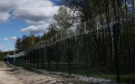 فنلندا تعزز دفاعاتها الحدودية ببناء سياج جديد مع روسيا