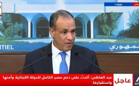 عبد العاطي يؤكد جهوده للاتصال بجميع الأطراف اللبنانية لتعزيز أمن واستقرار لبنان