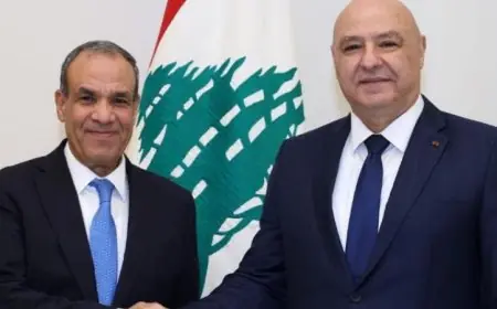 وزير الخارجية يبحث مع الرئيس جوزاف عون سبل تعزيز دعم مصر للبنان الشقيق