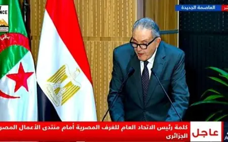 مصر والجزائر تتعاونان لبناء شراكة قوية تفتح آفاق جديدة للقطاع الخاص وتساهم في خلق فرص عمل