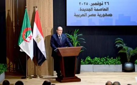 شركات مصرية في الجزائر تتألق كمثال للمثابرة والنجاح