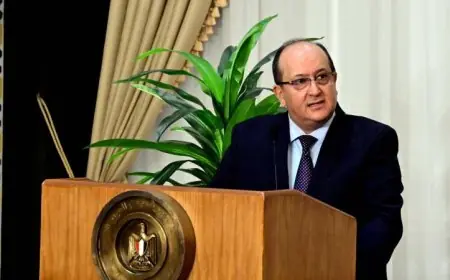 سيفي غريب يشدد على أهمية تعزيز العلاقات الجزائرية المصرية وتجاوز التسيير العادي