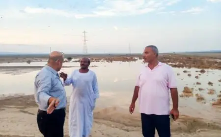 وزير الري يراقب تأثير الأمطار في البحر الأحمر وشمال سيناء لضمان السلامة العامة