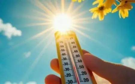 طقس اليوم: أمطار رعدية وشبورة كثيفة والعظمى في القاهرة تصل إلى 25 درجة