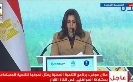 التنمية المحلية تكشف عن زيادة قياسية في نسبة الاشغال بالمناطق الصناعية