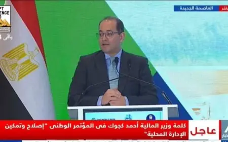 وزير المالية يكشف عن تكلفة 33 مليار جنيه لبرنامج الإدارة المحلية لتطوير صعيد مصر