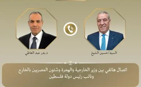 الخارجية المصرية تؤكد على أهمية تثبيت وقف إطلاق النار في غزة والدعوة إلى السلام