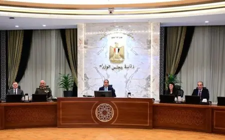 مصر تحقق إنجازًا هامًا بانضمامها كدولة شريكة لبرنامج أفق أوروبا مع الاتحاد الأوروبي