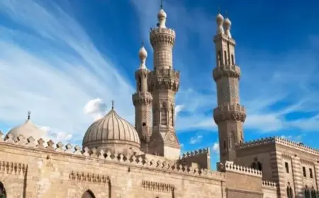 الأزهر يؤكد أن التحرش بالأطفال جريمة مشينة تأباه جميع الأديان والشرائع