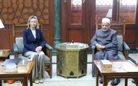 شيخ الأزهر يبحث تعزيز التعاون المشترك مع مبعوثة الاتحاد الأوروبي لحقوق الإنسان