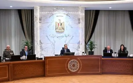 مجلس الوزراء يوافق على استكمال الإجراءات لإطلاق محطات توليد الكهرباء بجبل الزيت